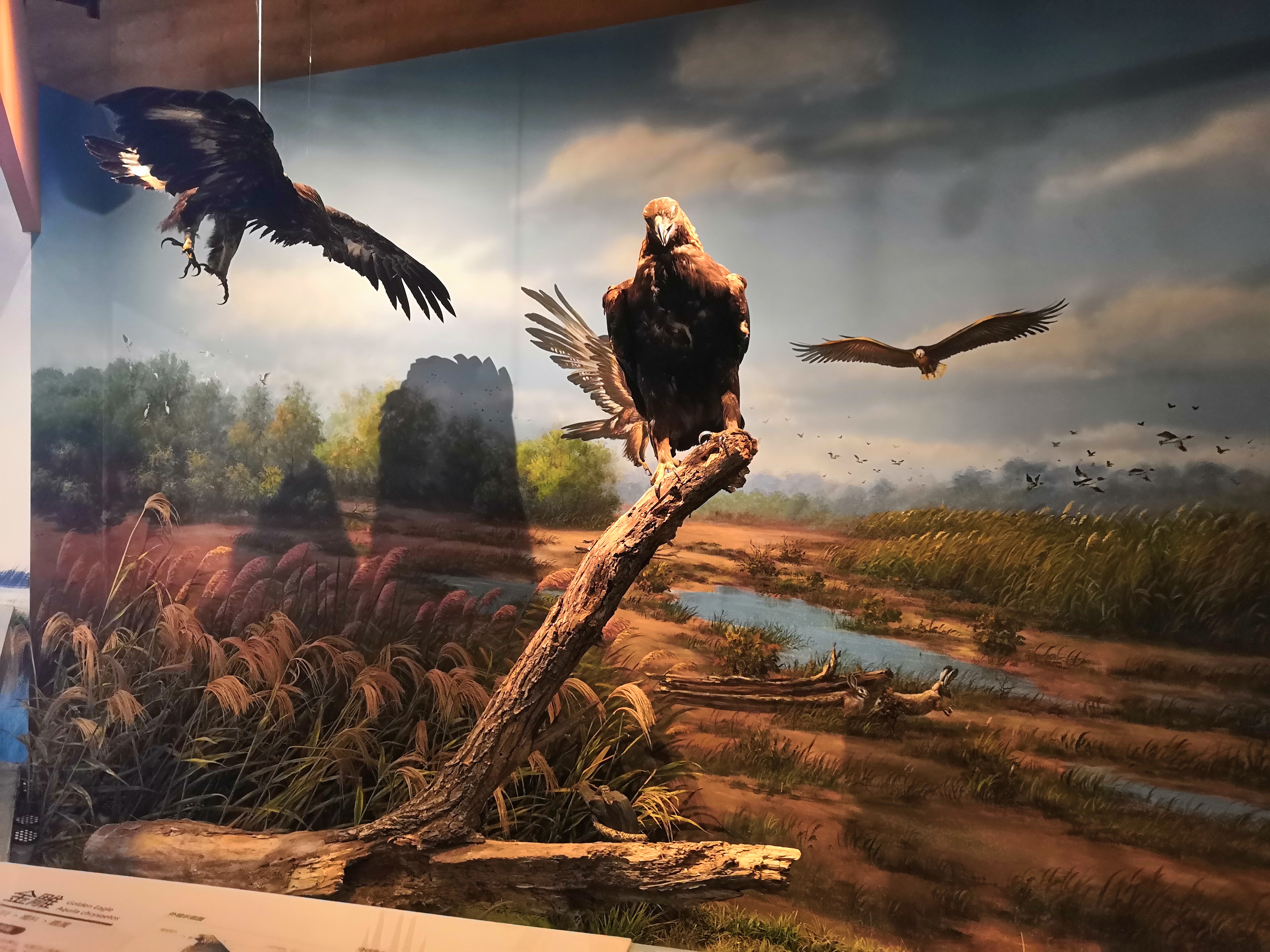 不銹鋼雕塑圖像為什么價(jià)格差距那么大，你知道嗎？