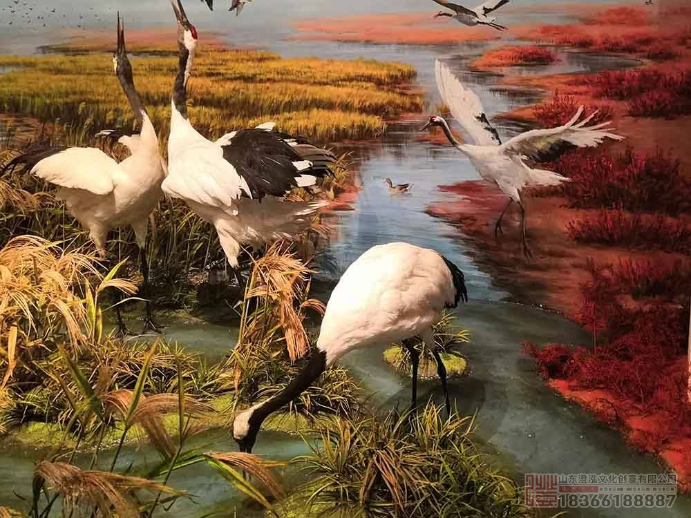 博物館場(chǎng)景復(fù)原